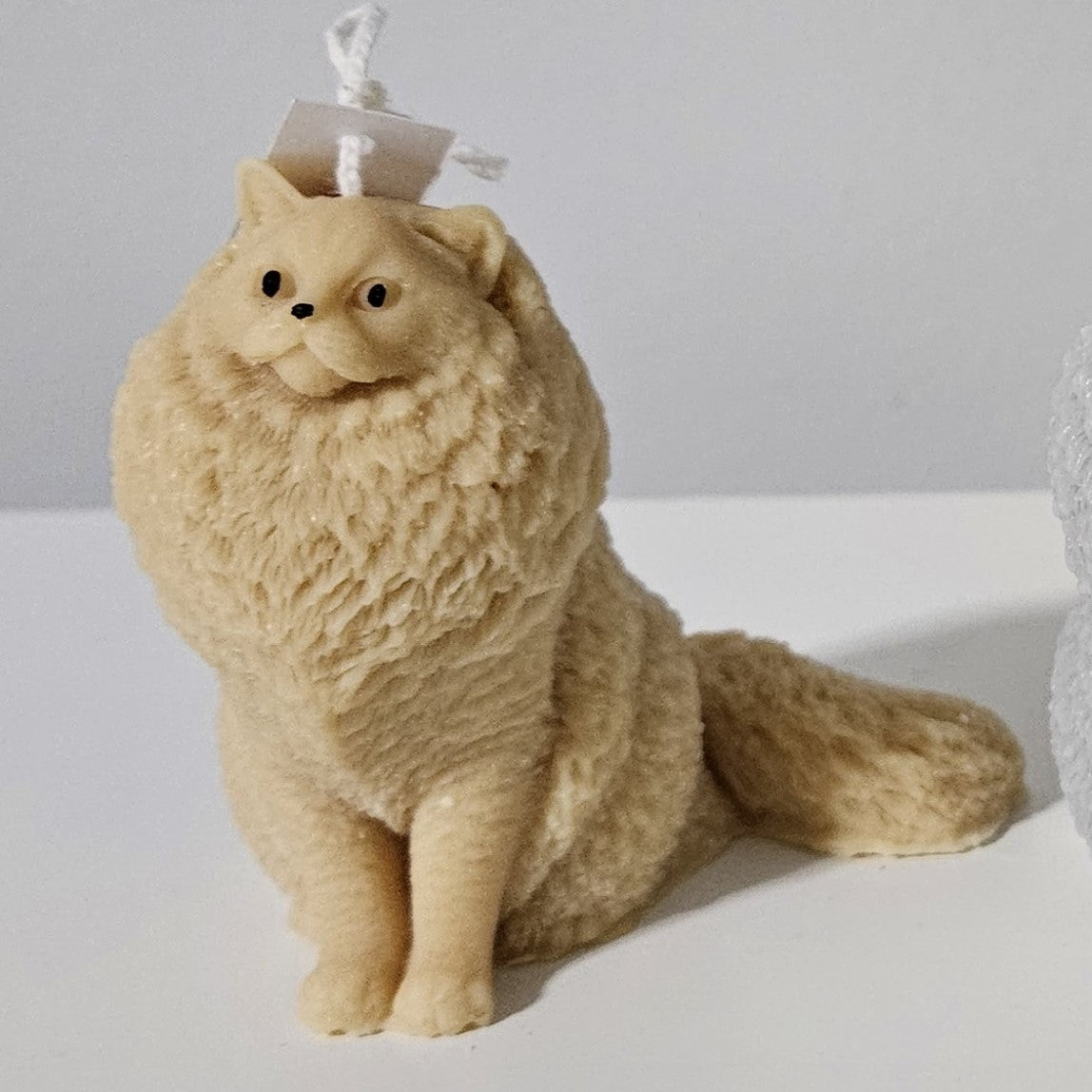 Full size Cat Candle